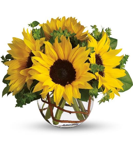 sunny_sunflowers